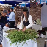 PRIMERA FERIA GASTRONÓMICA DE IDENTIDAD COSTA MAULE SUR